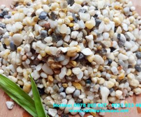 Sỏi lọc Sỏi lọc