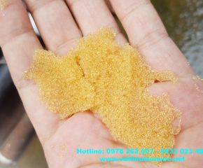 Hạt nhựa Hạt nhựa